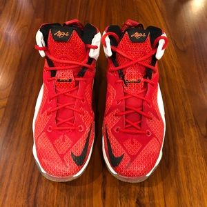 Nike LeBron 12 “Heart of A Lion” shoe